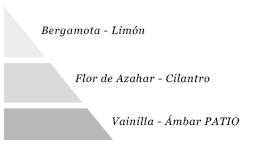 Pirámide olfativa