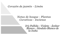 Pirámide olfativa