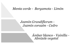 Pirámide olfativa